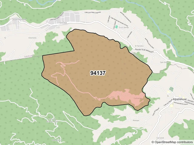 Mapa del código postal 94137, Alpatláhuac, Veracruz de Ignacio de la Llave