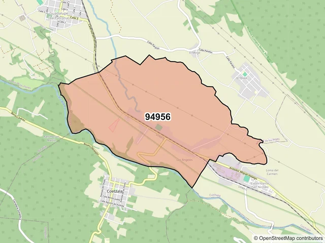 Mapa del código postal 94956, Amatlán de los Reyes, Veracruz de Ignacio de la Llave