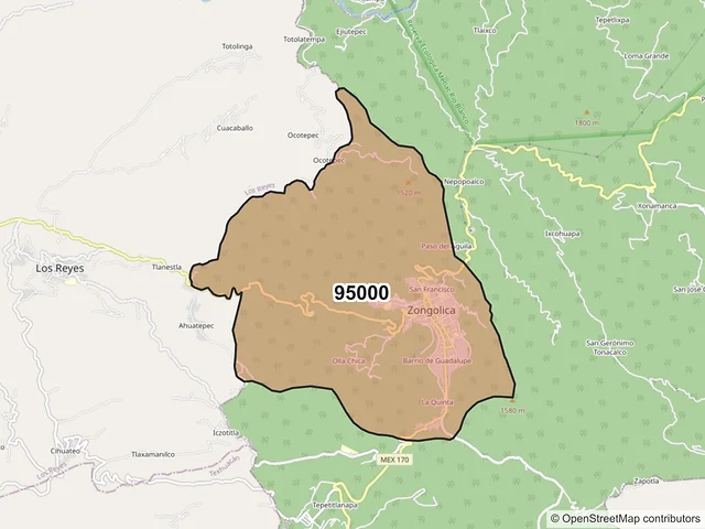 Mapa del código postal 95000, Zongolica, Veracruz de Ignacio de la Llave