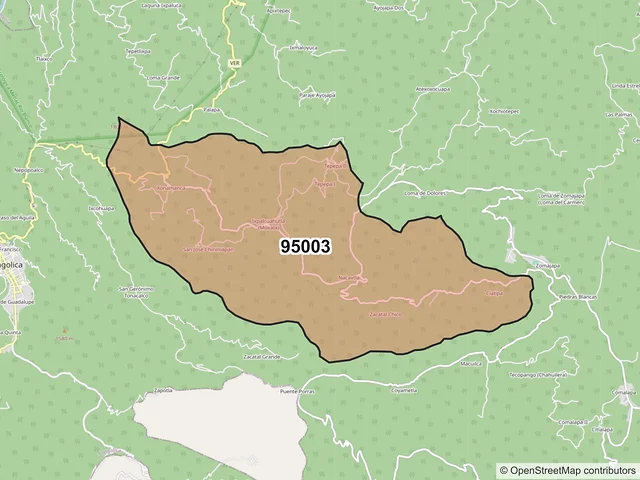 Mapa del código postal 95003, Zongolica, Veracruz de Ignacio de la Llave