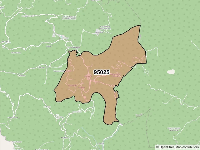 Mapa del código postal 95025, Zongolica, Veracruz de Ignacio de la Llave