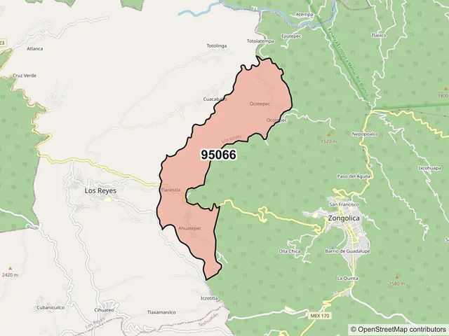 Mapa del código postal 95066, Los Reyes, Veracruz de Ignacio de la Llave