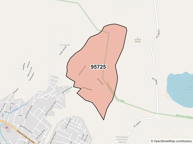 Mapa del código postal 95725, San Andrés Tuxtla, Veracruz de Ignacio de la Llave
