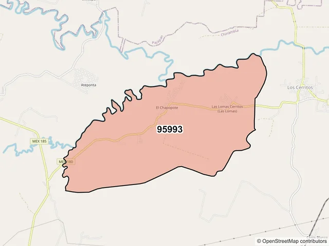 Mapa del código postal 95993, Chinameca, Veracruz de Ignacio de la Llave