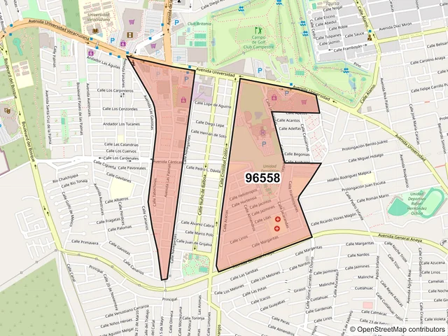 Mapa del código postal 96558, Coatzacoalcos, Veracruz de Ignacio de la Llave
