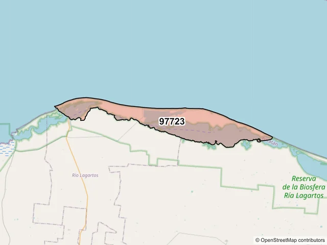 Mapa del código postal 97723, Río Lagartos, Yucatán