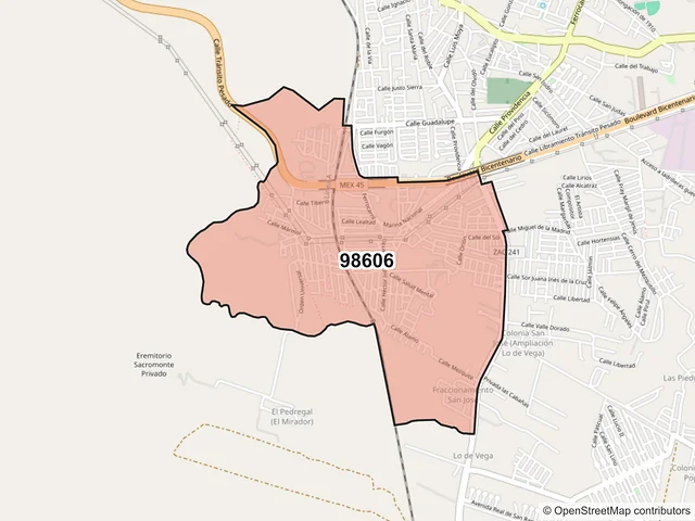 Mapa del código postal 98606, Guadalupe, Zacatecas