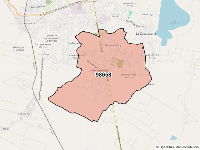 Mapa del código postal 98658, Guadalupe, Zacatecas
