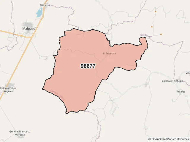 Mapa del código postal 98677, Genaro Codina, Zacatecas