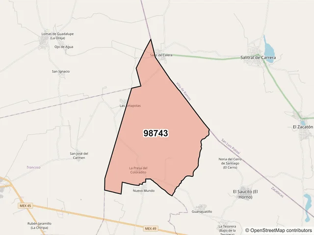 Mapa del código postal 98743, General Pánfilo Natera, Zacatecas