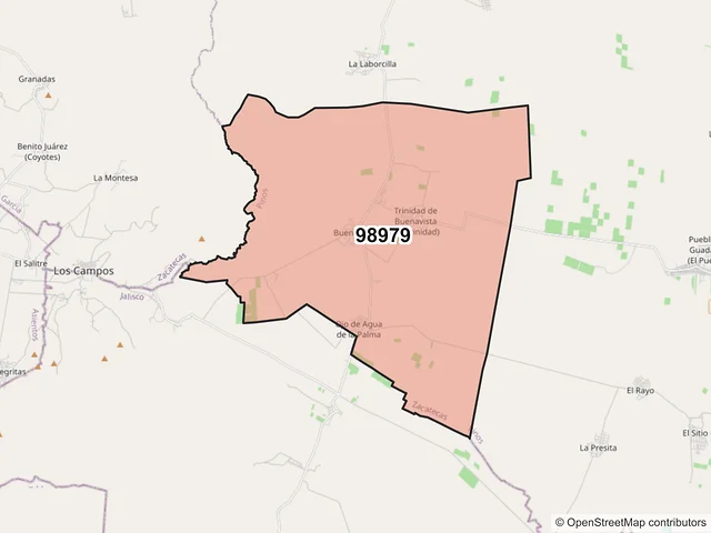Mapa del código postal 98979, Pinos, Zacatecas