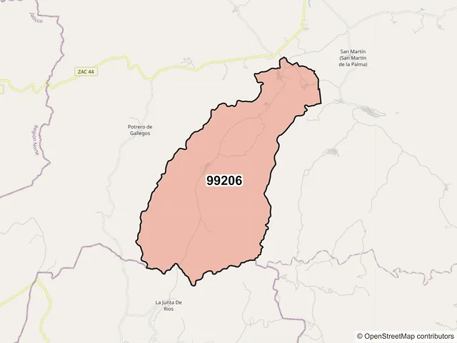 Mapa del código postal 99206, Valparaíso, Zacatecas