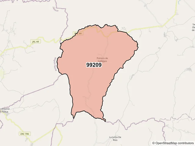 Mapa del código postal 99209, Valparaíso, Zacatecas