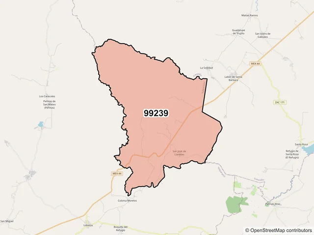 Mapa del código postal 99239, Valparaíso, Zacatecas