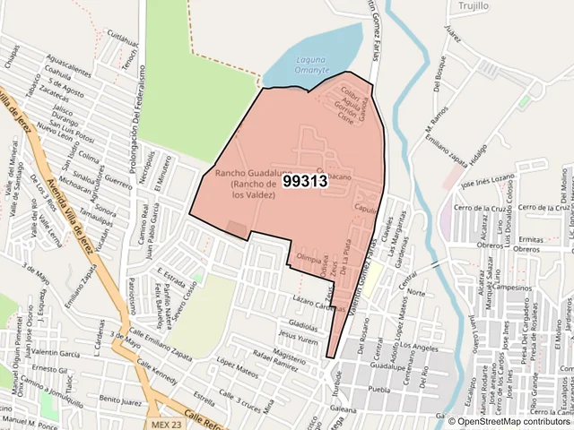 Mapa del código postal 99313, Jerez, Zacatecas