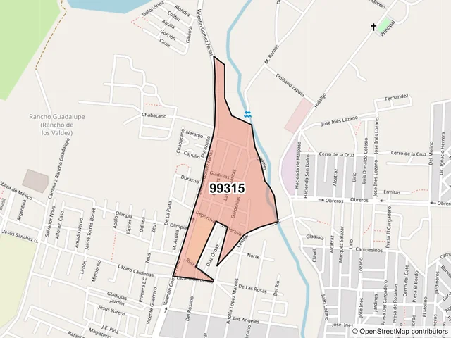 Mapa del código postal 99315, Jerez, Zacatecas