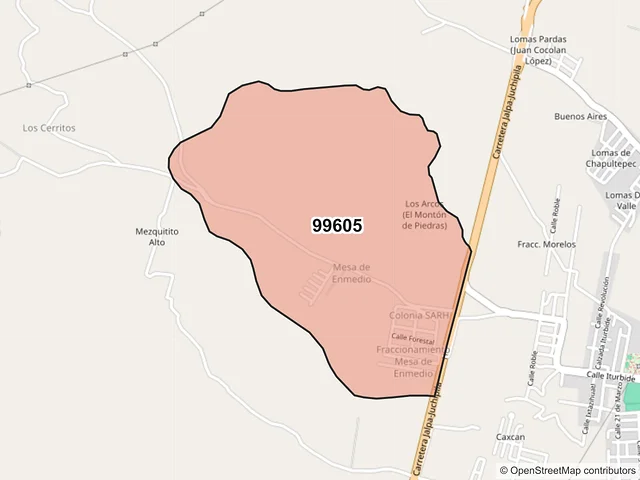 Mapa del código postal 99605, Jalpa, Zacatecas