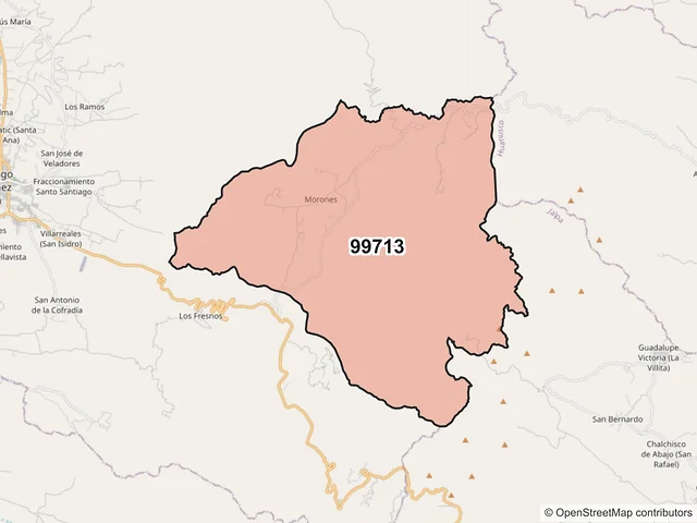 Mapa del código postal 99713, Tlaltenango de Sánchez Román, Zacatecas