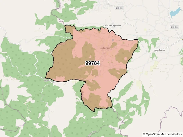 Mapa del código postal 99784, Benito Juárez, Zacatecas