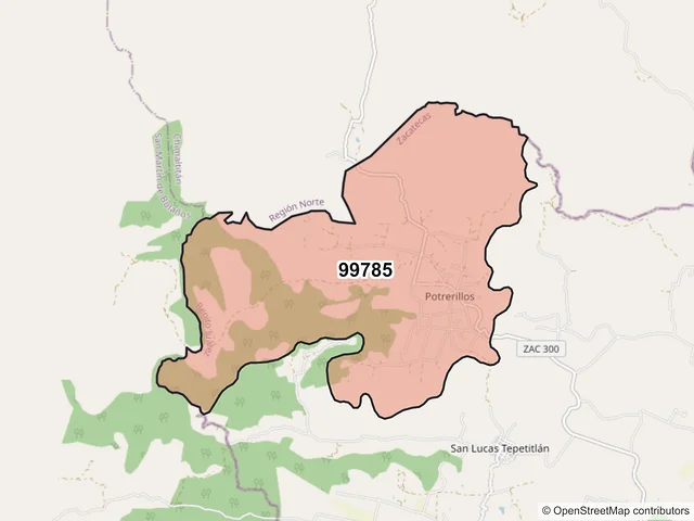 Mapa del código postal 99785, Benito Juárez, Zacatecas