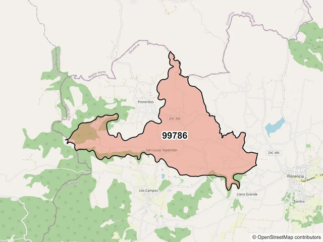 Mapa del código postal 99786, Benito Juárez, Zacatecas