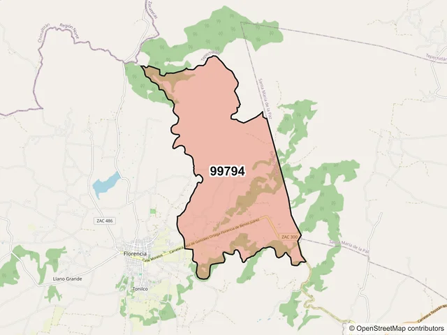 Mapa del código postal 99794, Benito Juárez, Zacatecas