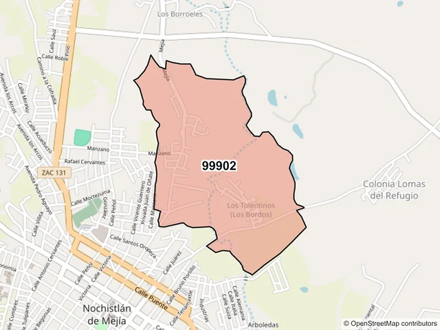 Mapa del código postal 99902, Nochistlán de Mejía, Zacatecas