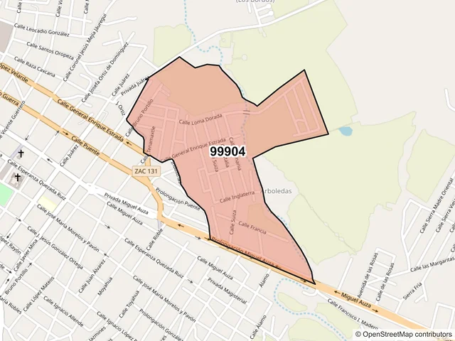 Mapa del código postal 99904, Nochistlán de Mejía, Zacatecas