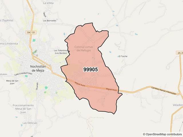 Mapa del código postal 99905, Nochistlán de Mejía, Zacatecas