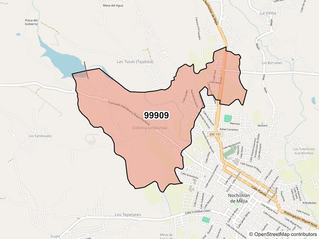 Mapa del código postal 99909, Nochistlán de Mejía, Zacatecas