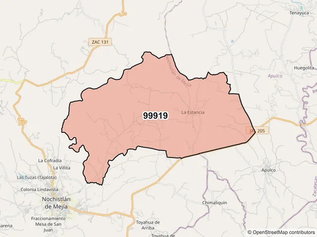 Mapa del código postal 99919, Nochistlán de Mejía, Zacatecas