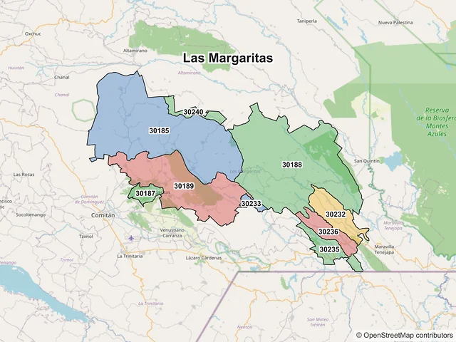 Mapa de códigos postales de Las Margaritas, Chiapas