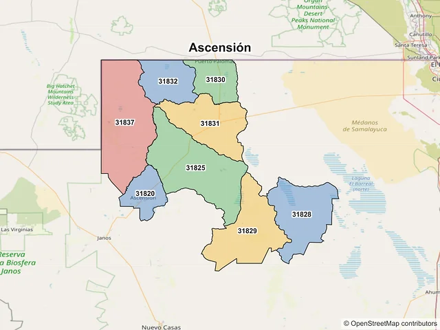 Mapa de códigos postales de Ascensión, Chihuahua