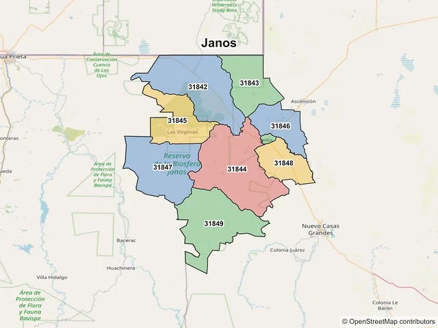 Mapa de códigos postales de Janos, Chihuahua