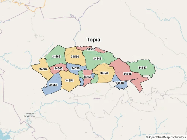 Mapa de códigos postales de Topia, Durango