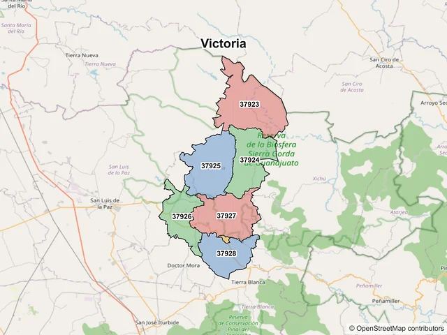 Mapa de códigos postales de Victoria, Guanajuato