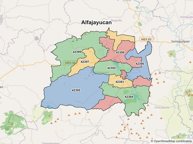 Mapa de códigos postales de Alfajayucan, Hidalgo