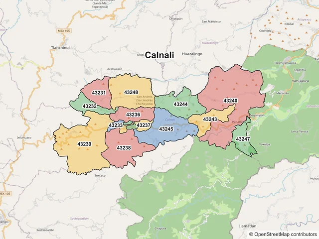 Mapa de códigos postales de Calnali, Hidalgo