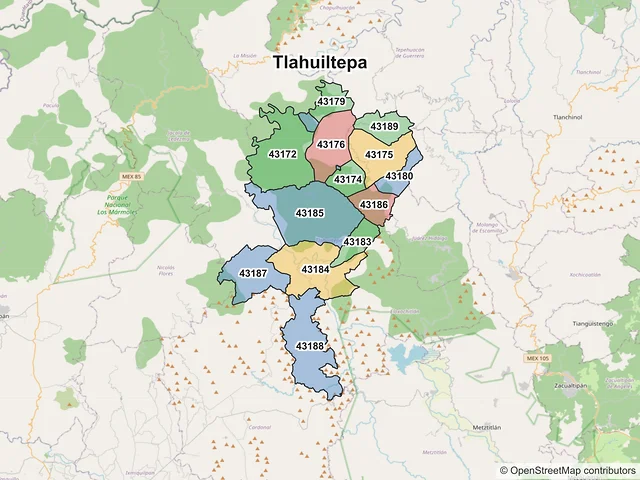 Mapa de códigos postales de Tlahuiltepa, Hidalgo
