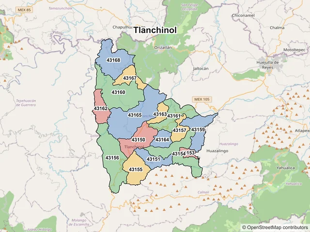 Mapa de códigos postales de Tlanchinol, Hidalgo