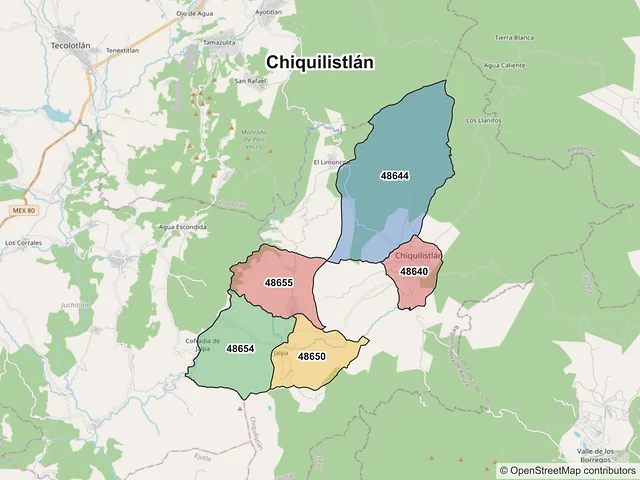 Mapa de códigos postales de Chiquilistlán, Jalisco
