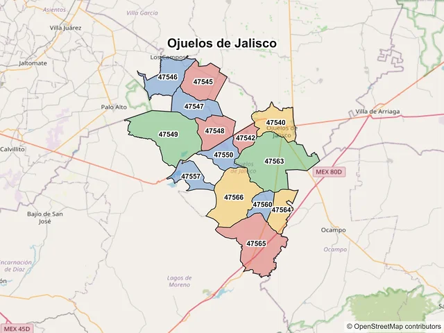 Mapa de códigos postales de Ojuelos de Jalisco, Jalisco