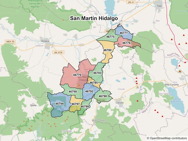 Mapa de códigos postales de San Martín Hidalgo, Jalisco