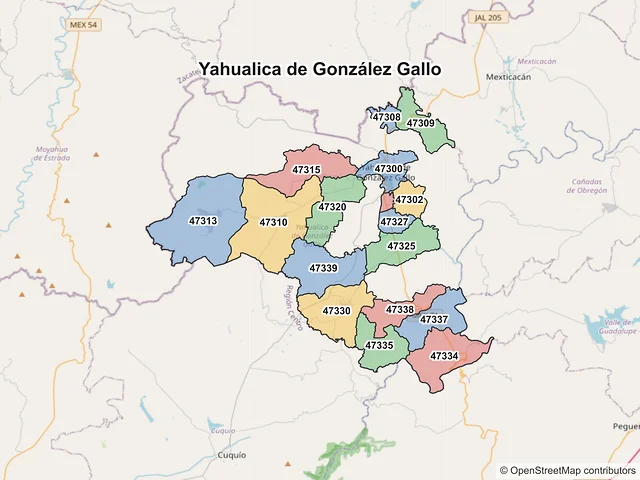 Mapa de códigos postales de Yahualica de González Gallo, Jalisco