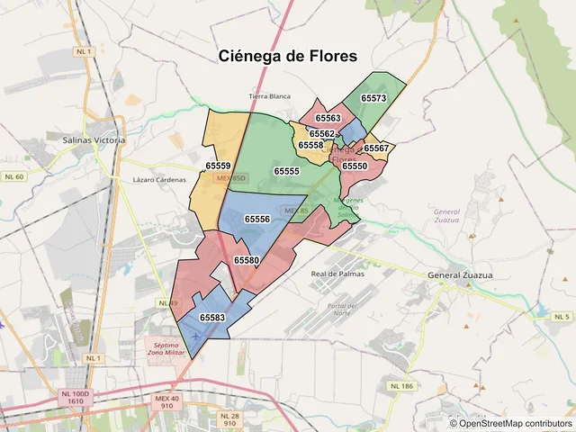 Mapa de códigos postales de Ciénega de Flores, Nuevo León