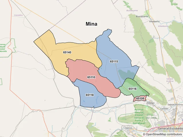Mapa de códigos postales de Mina, Nuevo León