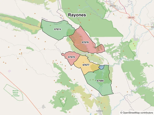 Mapa de códigos postales de Rayones, Nuevo León