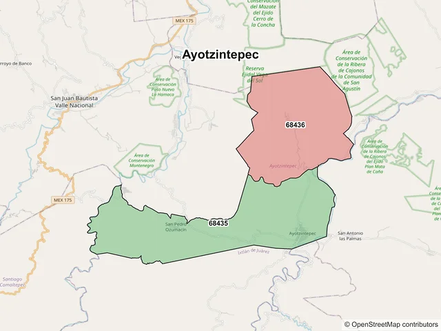 Mapa de códigos postales de Ayotzintepec, Oaxaca