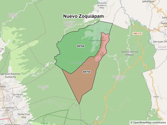 Mapa de códigos postales de Nuevo Zoquiápam, Oaxaca