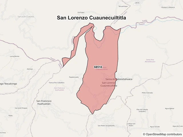 Mapa de códigos postales de San Lorenzo Cuaunecuiltitla, Oaxaca